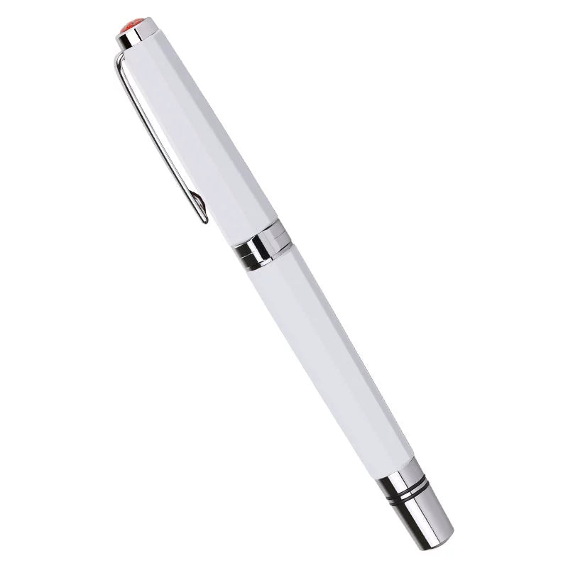 TWSBI Classic Fountain Pen