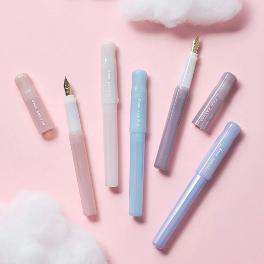 Pilot Kakuno Fountain Pen Madoromi Color Series