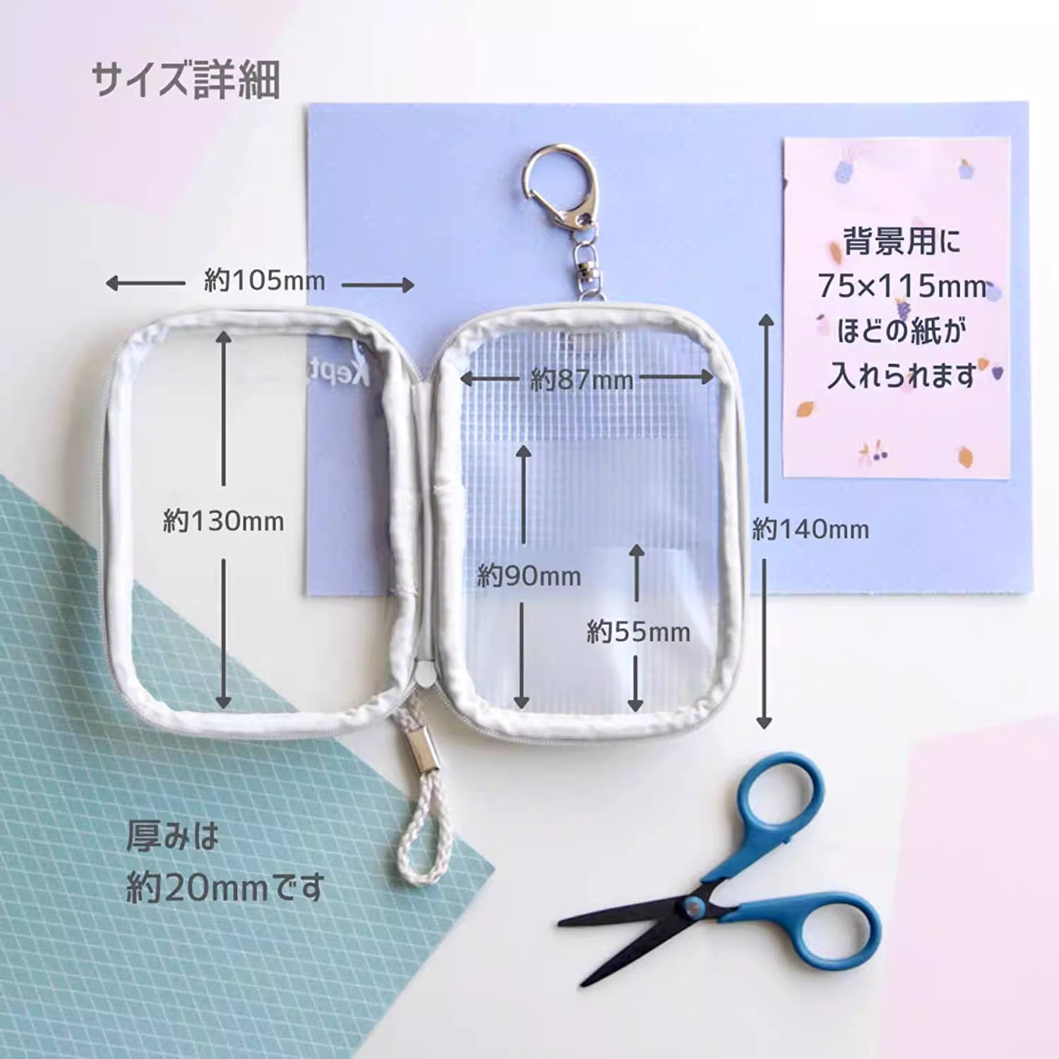 Raymey Fujii Pouch Kept Acsta Case