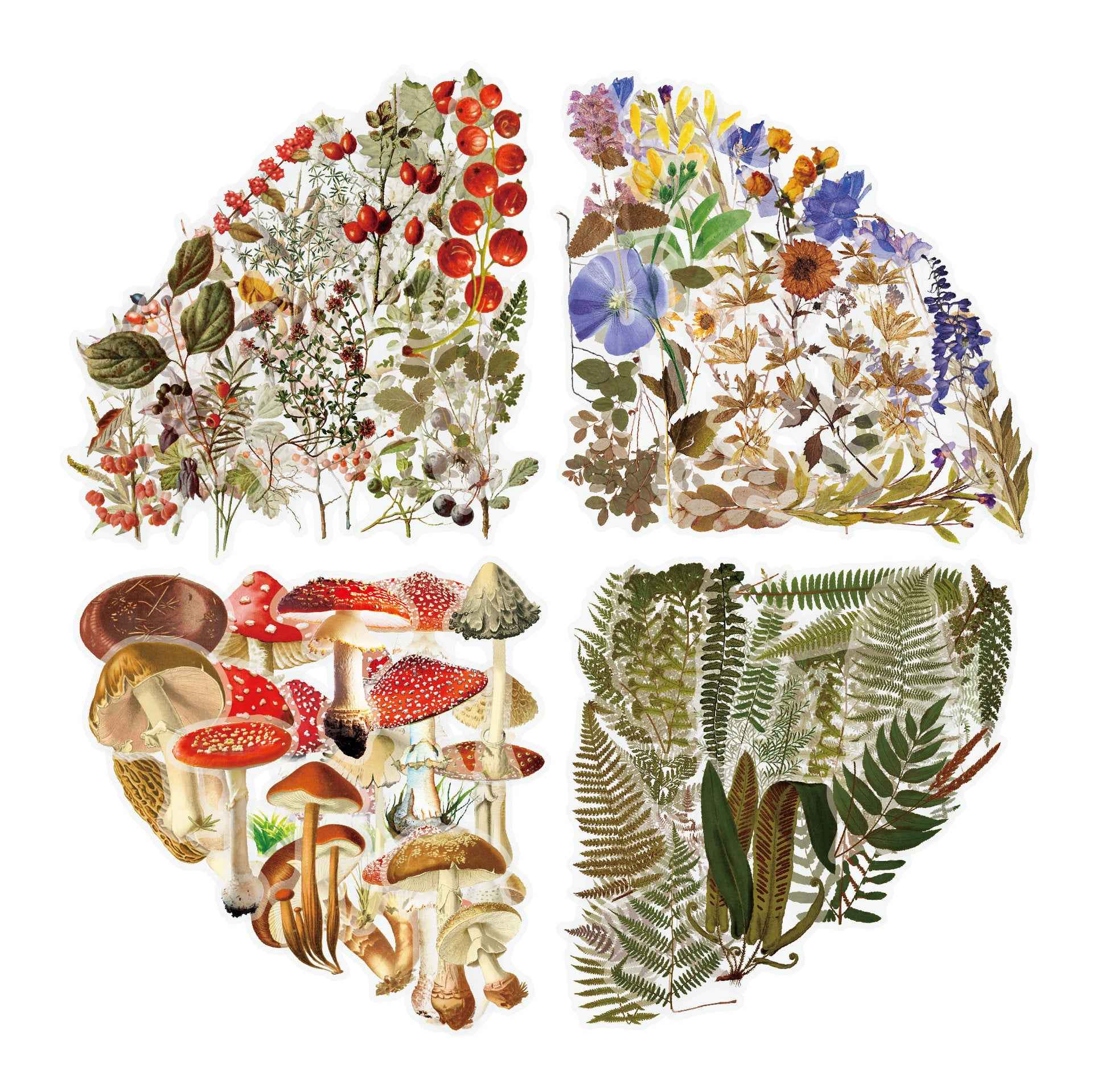 160pcs Clear PET Transparent Flower Floral Stickers Set - TTpen