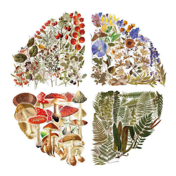160pcs Clear PET Transparent Flower Floral Stickers Set - TTpen