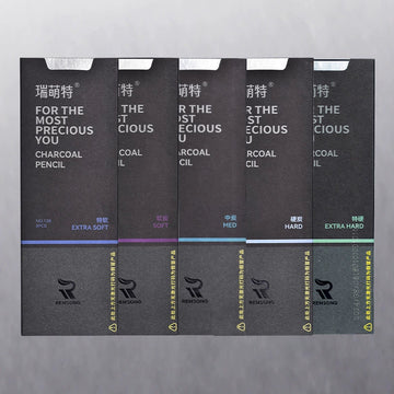 REMSONG Charcoal Pencils for Artists Drawing 8 Pieces