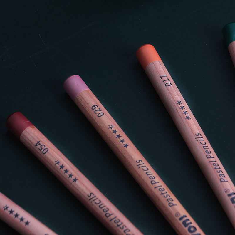 NYONI Professional 24 Pastel Chalk Colored Charcoal Pencils - TTpen