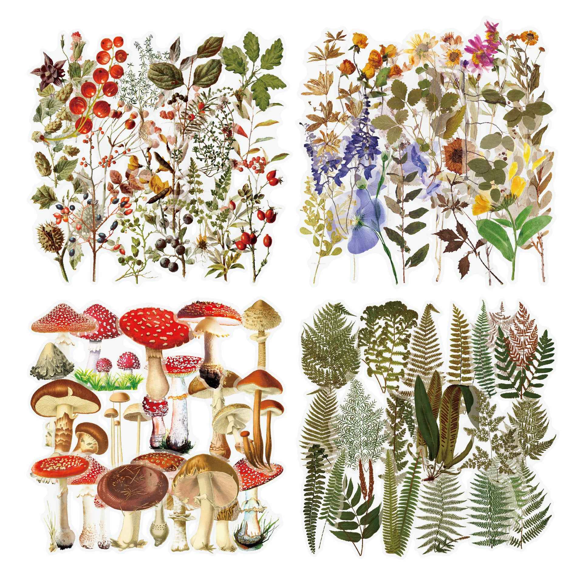 160pcs Clear PET Transparent Flower Floral Stickers Set - TTpen