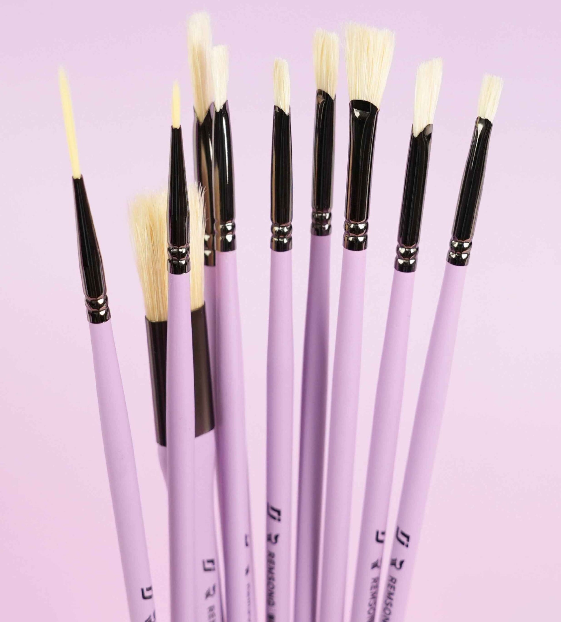 REMSONG Watercolor Brushes Professional Set 10 Pack