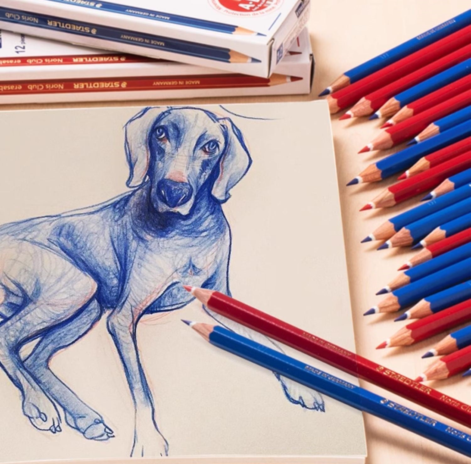 STAEDTLER Noris® Erasable 14450 Colored Pencils Red/Blue