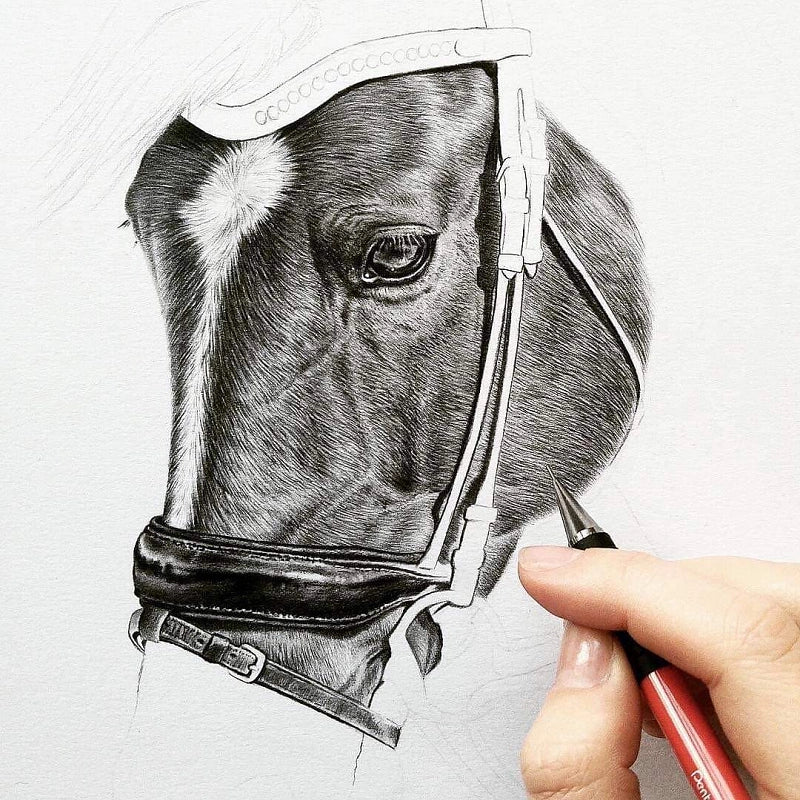 Pentel 120 A3DX Mechanical Pencil 0.3mm/0.5mm/0.7mm/0.9mm