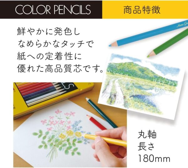 Tombow CB-NQ36C Colored Pencils NQ 36 Colors