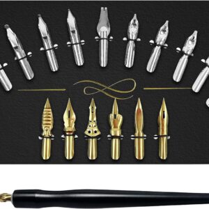 17 Pieces Stainless Steel Calligraphy Pen Nibs Set