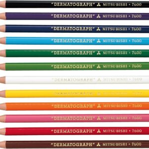 Mitsubishi Pencil Oil-Based Dermatograph Colored Pencils 12 Colors