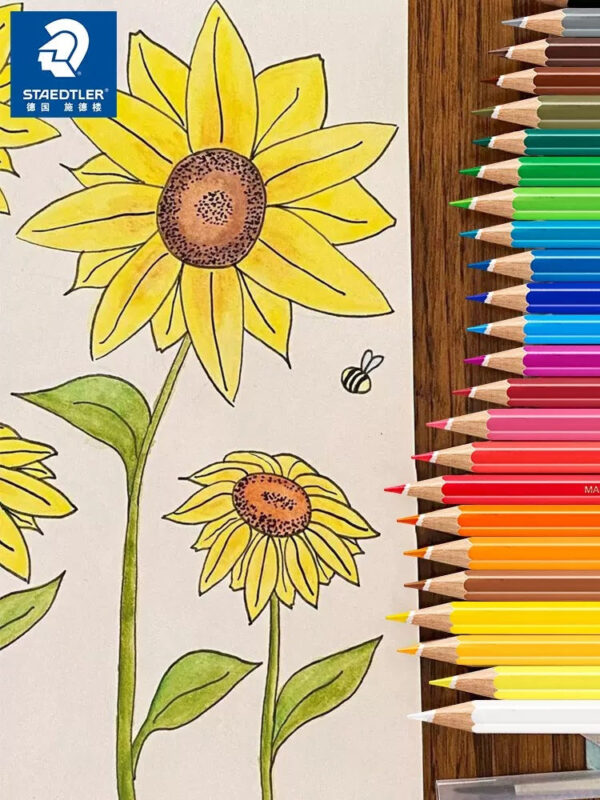 STAEDTLER 144 Noris Aquarell Watercolour Pencils,36 Colours