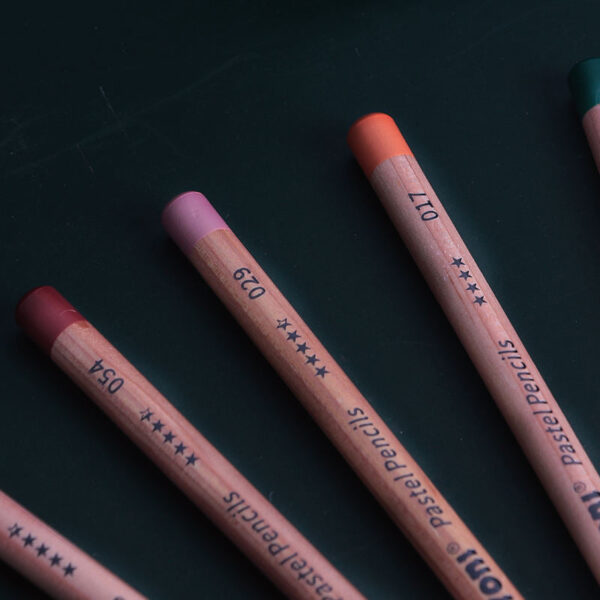 NYONI Professional 24 Pastel Chalk Colored Charcoal Pencils
