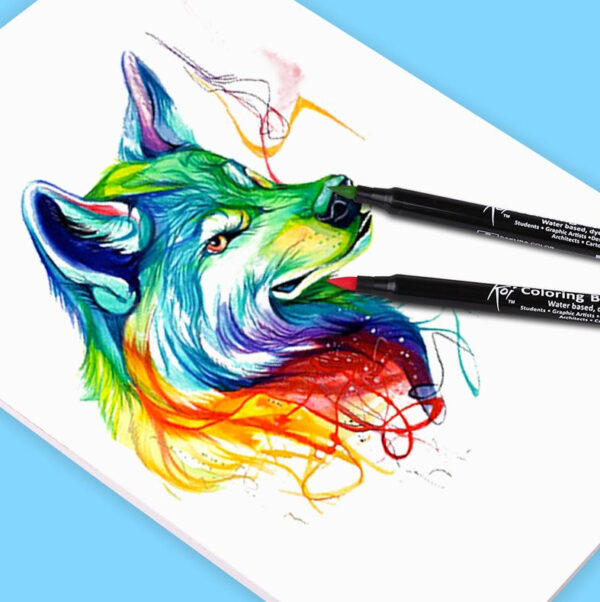 SAKURA Koi Colouring Brush Pen Set 48 Color Pens