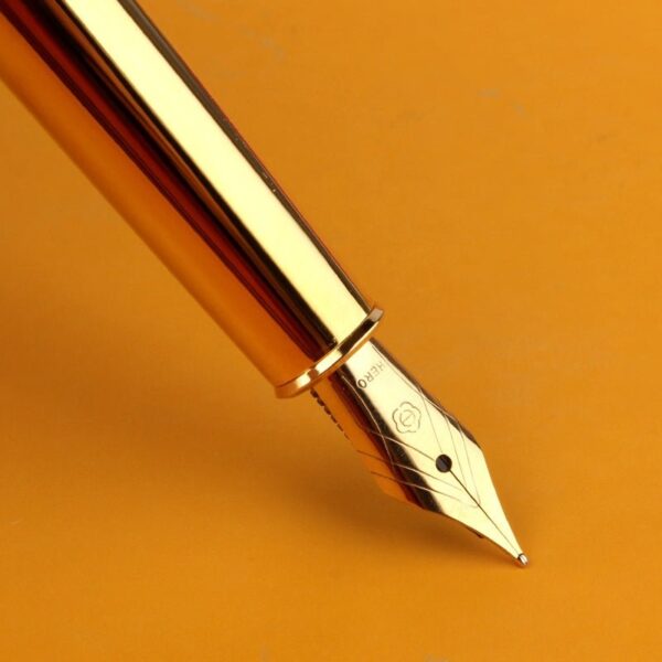 Hero HS209 Fountain Pen for Lady