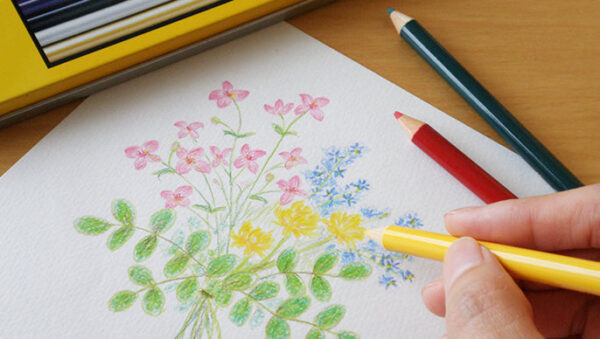 Tombow CB-NQ12C Colored Pencils NQ 12 Colors